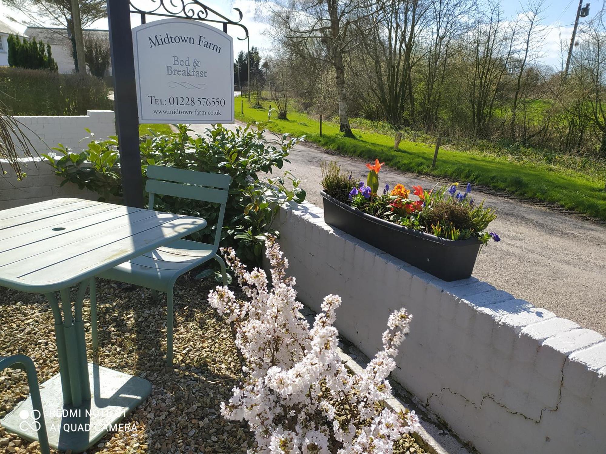 Midtown Farm Bed & Breakfast Easton  Dış mekan fotoğraf