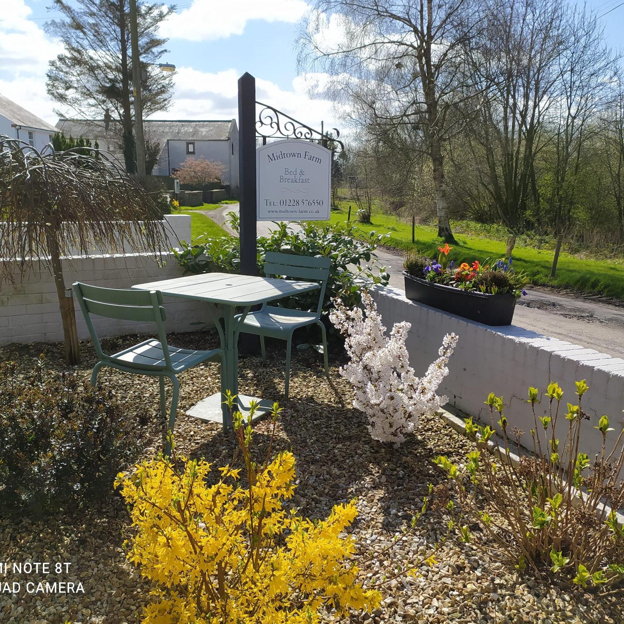 Midtown Farm Bed & Breakfast Easton  Dış mekan fotoğraf